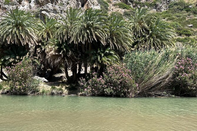 Kourtaliotiko Gorge and Preveli Beach Review - Feedback From Satisfied Customers