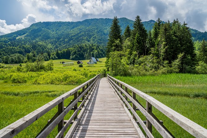 Kranjska Gora Mountain Biking - Enjoying the Guided Experience