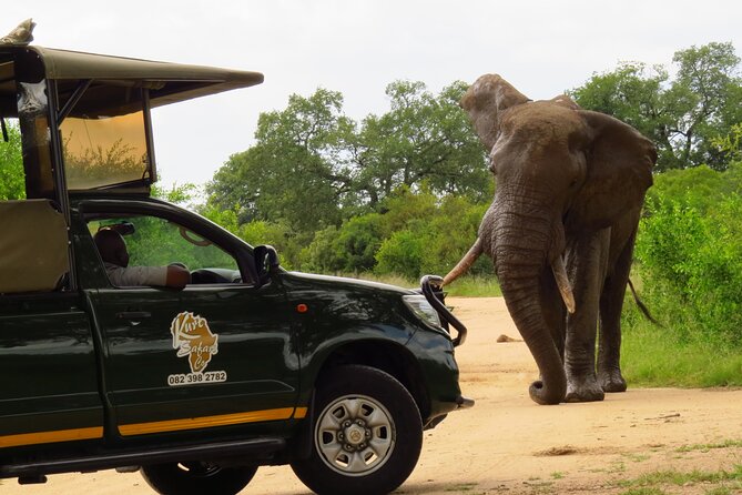 Kruger National Park Afternoon Private Safari - Safari Inclusions and Experience