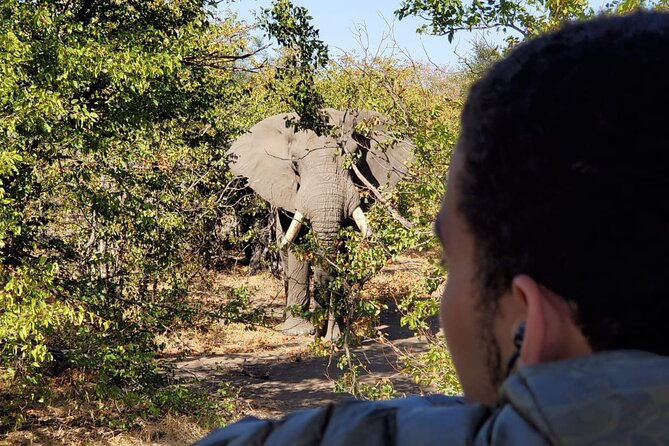 Kruger National Park Private Guided Tour - Tour Schedule and Timing