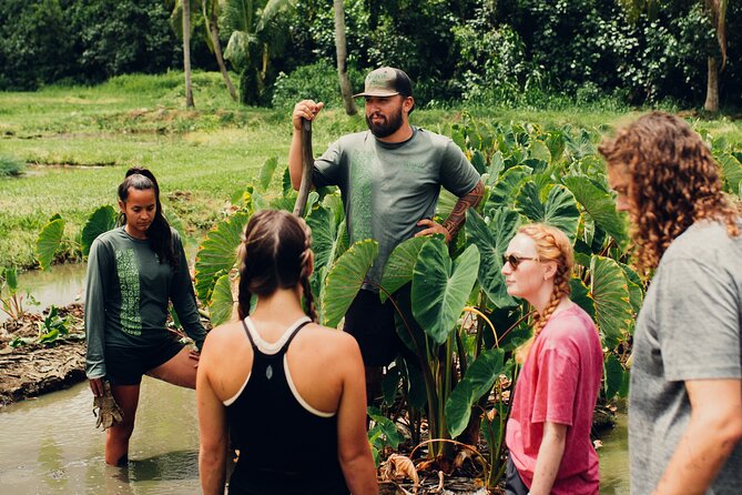 Kualoa Ranch: Malama Experience Tour - Participant Requirements
