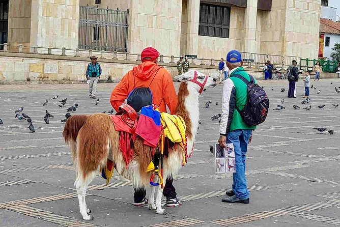 La Candelaria and Monserrate Walking Half Day Tour - Participation Requirements