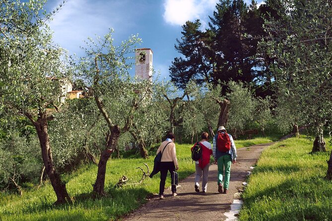 La Dolce Vita of the Renaissance - Half-Day Walking Tour - Exploring Historic Lucca