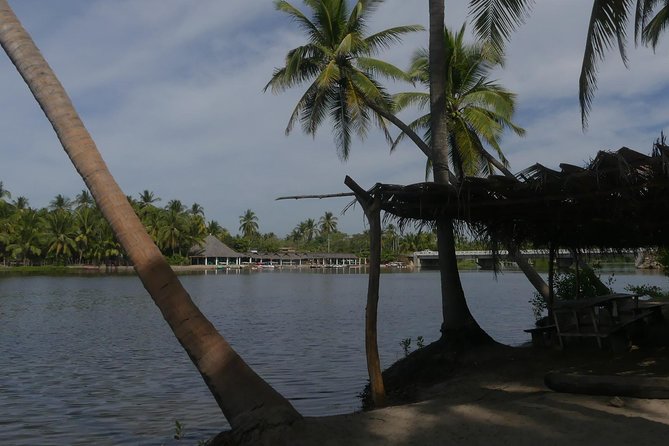 Lagoon Ride AfroMex Village Baby Turtle Release &Croc Farm Visit - Participant Information and Accessibility