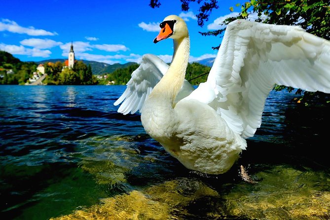 Lake Bled Half Day Excursion From Ljubljana - Additional Information