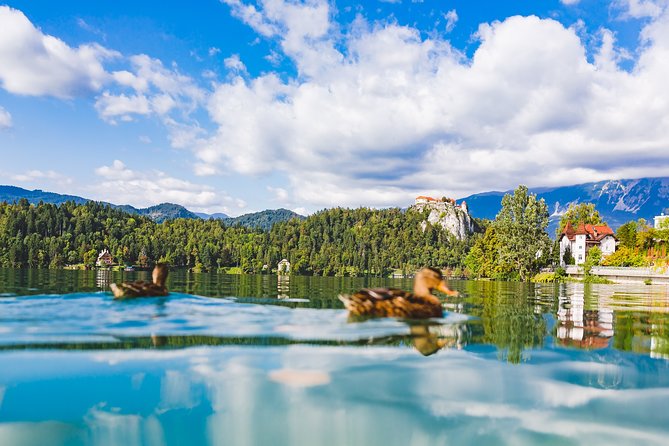 Lake Bled & Postojna Cave in One Day Private Trip From Ljubljana - Positive Traveler Experiences