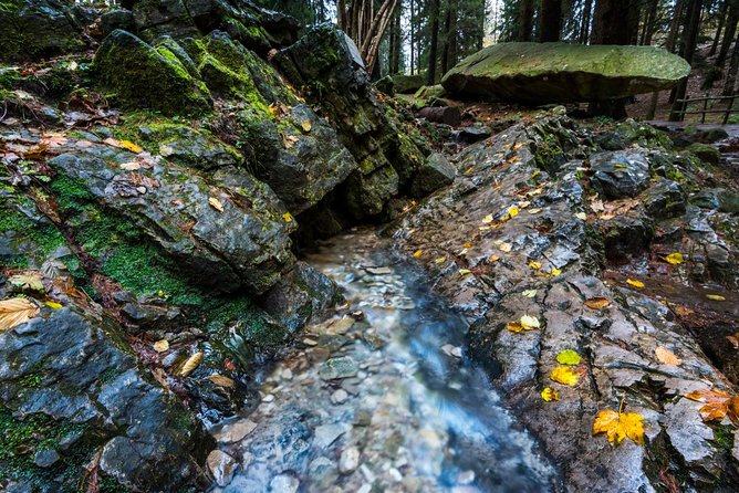 Lake Como Trekking Private Guided Tour, From Milan or Como - Physical Requirements