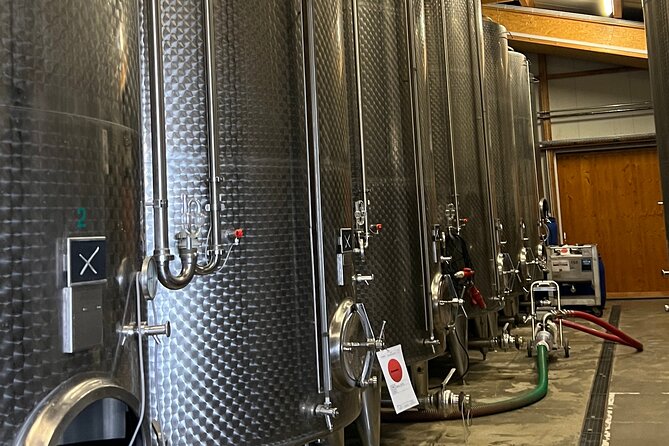 Lake Constance Wine Tour Day Tour Wine Tasting at 3 Winemakers - Picturesque Scenery