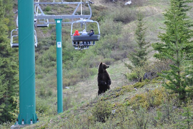Lake Louise Summer Gondola Experience - Ticket Redemption and Cancellation Policy