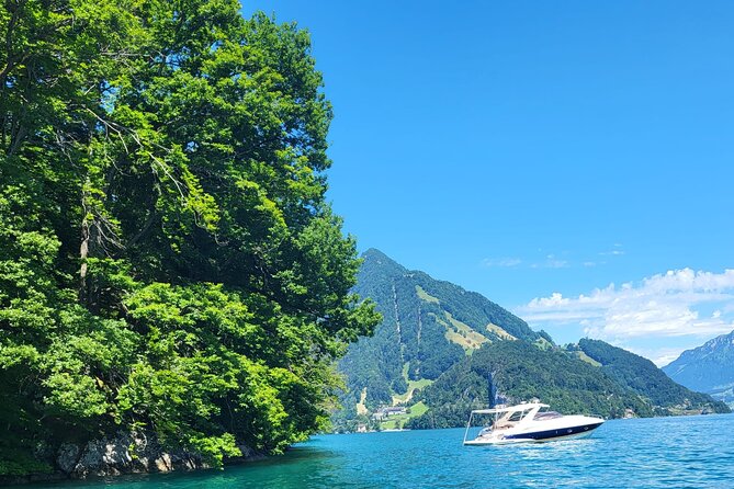 Lake Lucerne Boat Tour for an Afternoon! - Health and Safety Information