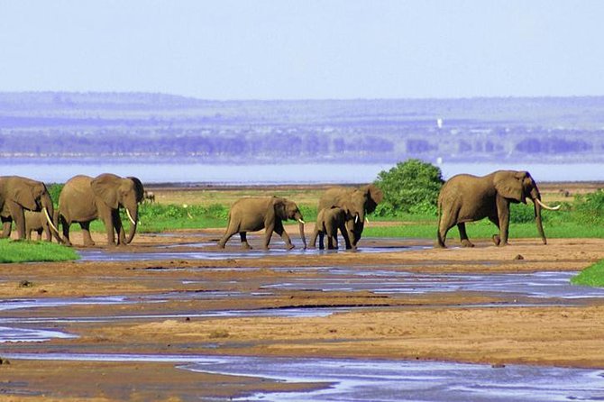 Lake Manyara National Park Full-Day Tour From Arusha - Tour Inclusions and Amenities