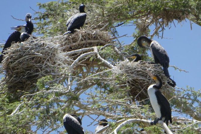 Lake Naivasha Day Tour Including the Crescent Island - Crescent Island Game Park