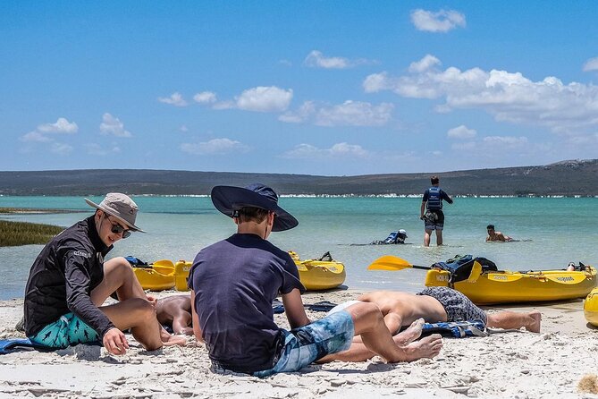 Langebaan Lagoon Island Kayak Experience - Wildlife Encounter Opportunities