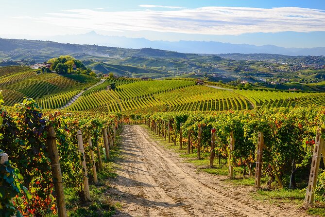 Langhe Del Barolo" Private E-Bike Tour - Asphalt and Dirt Road - Customer Service