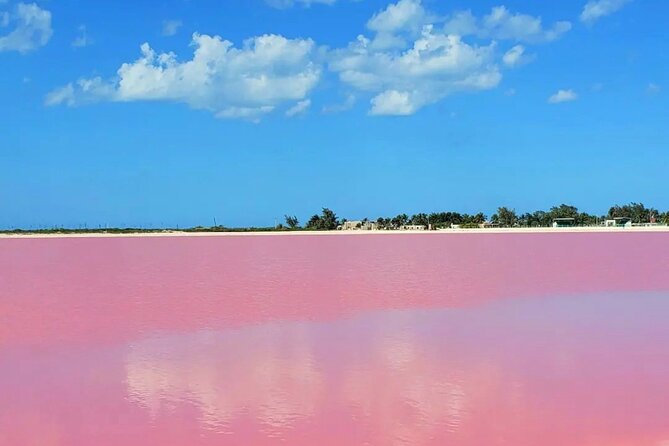 Las Coloradas & Río Lagartos With Boat & Lunch From Mérida - Guest Reviews