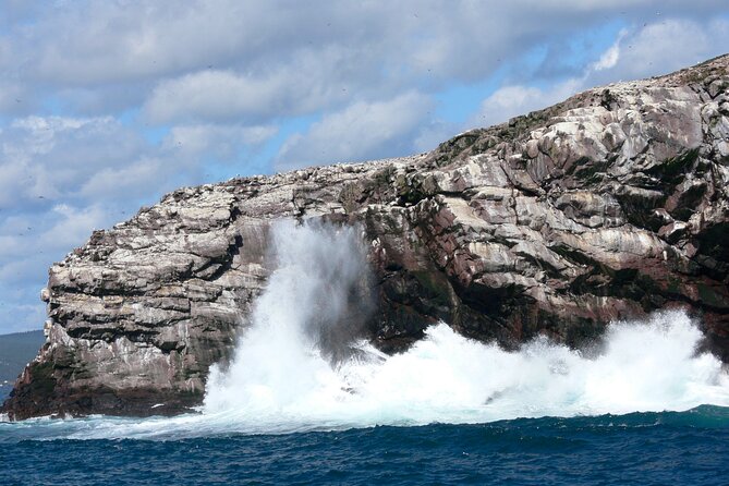 Late Season Puffin & Scenic Coastal Cruise - Cancellation and Refund Policy