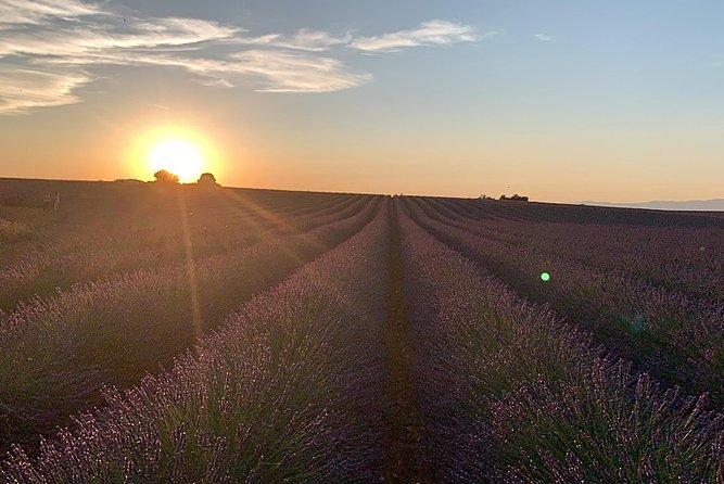 Lavender Fields Visit With Private Transportation  - Marseille - Cancellation and Refund Policy