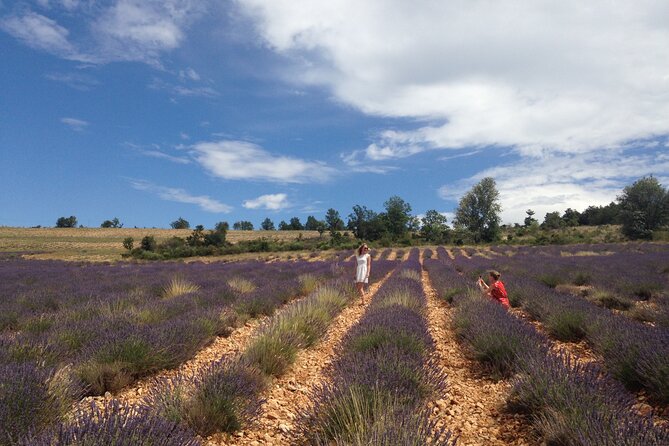 Lavender Full-day Tour in Sault From AIX-EN-PROVENCE - Traveler Photos & Reviews