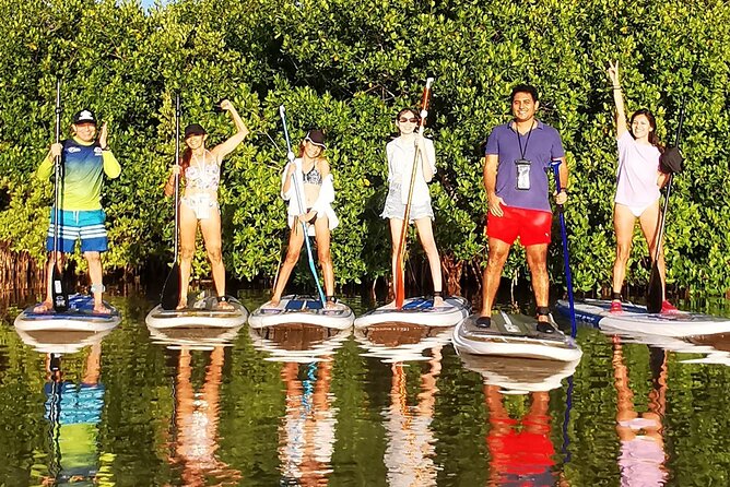 Learn Paddle Board and Explore the Mangroves of Progreso - Traveler Information