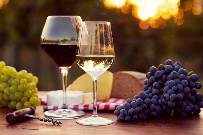 Lebanon Wine Tasting Tour From Beirut - Guides and Language