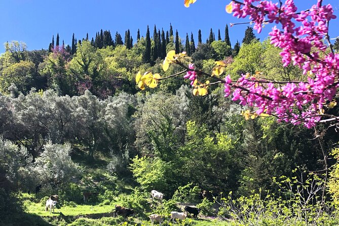 Lefkada Tour on Electric Bike (Tailor-made) - Meeting Point and Pickup Options