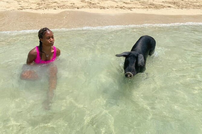 Lets Get Piggy With It: a Splashin Good Time With the Pigs! - Traveler Information