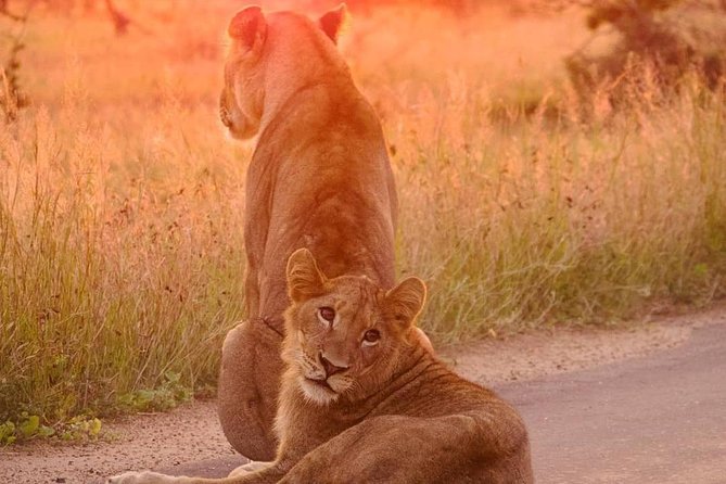 LGBTQ Vacation to Exquisite and Picturesque Places South Africa - Accessibility Considerations