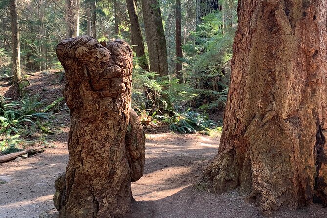 Lighthouse Park Hike - Transportation Details