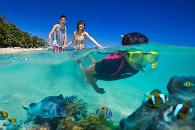Lihaga Island (White Sand Island) Swimming Twice, Including Lunch and Tickets - The Sum Up