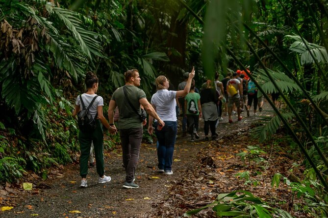 Limón Rainforest Hanging Bridges-Skywalk Tour & Tortuguero Canals - Pickup, Timing, and Cancellation Policy