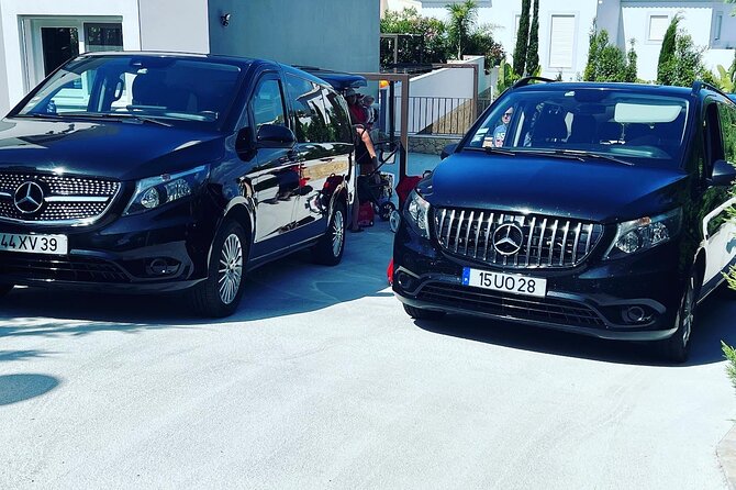 Lisbon Airport Private Transfer - Accessibility Options