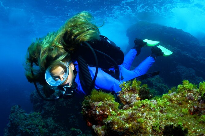 Lisbon Eco-Try Dive - Diving Baptism - Professional Instructor Support