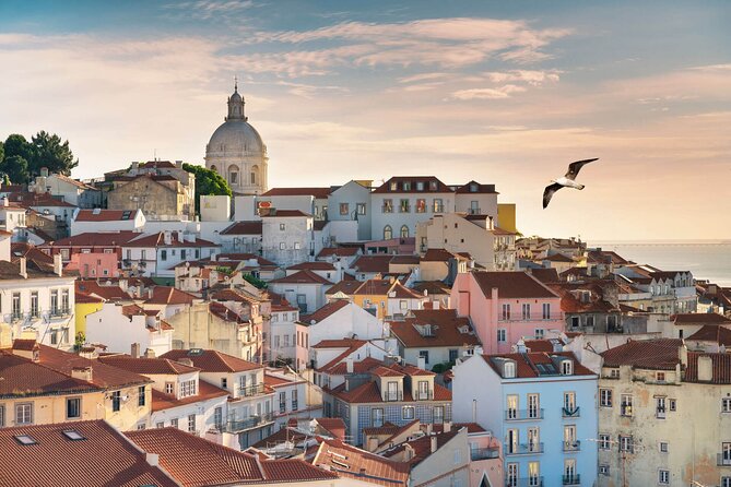 Lisbon Half Day Private Tour - Pickup Information