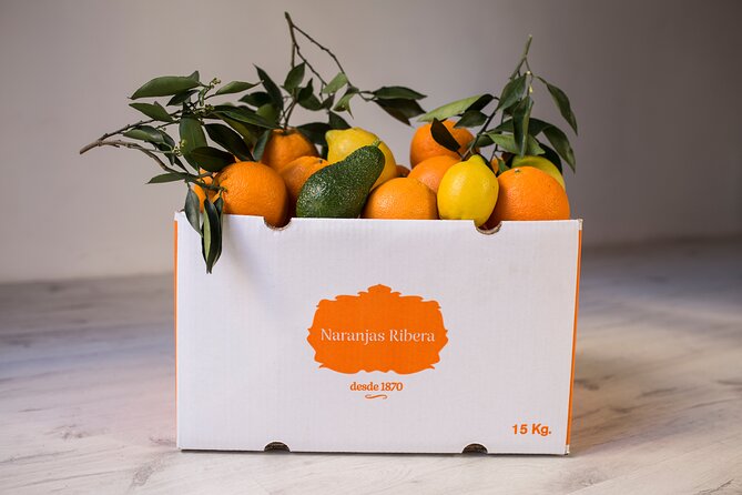 Live an Experience Among Orange Trees in Huerto Ribera - Inquiries and Assistance