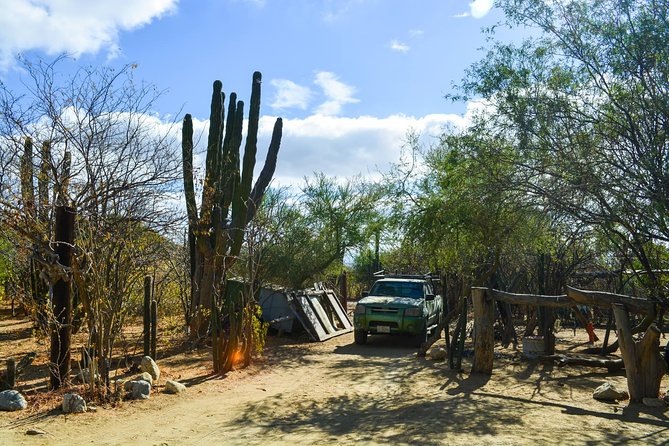 Los Cabos: Hiking at the Fox Canyon - Transportation and Meeting Points