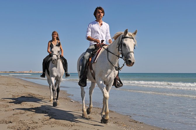 Los Cabos Horseback Riding - Guest Reviews and Feedback