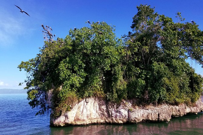 Los Haitises From Punta Cana or Bavaro Areas With Locals - Positive Customer Experiences