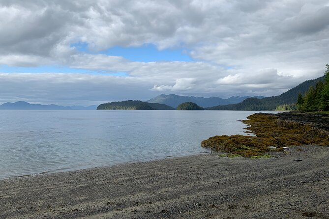 Low Tide Excursion & Beach Bonfire (w/ Totem Park Stop) - Beach Bonfire Experience