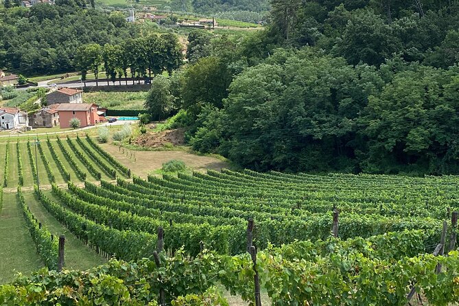 Lucca City Tour and Pisa Tower + Wine Tasting From La Spezia Port - Transportation Details