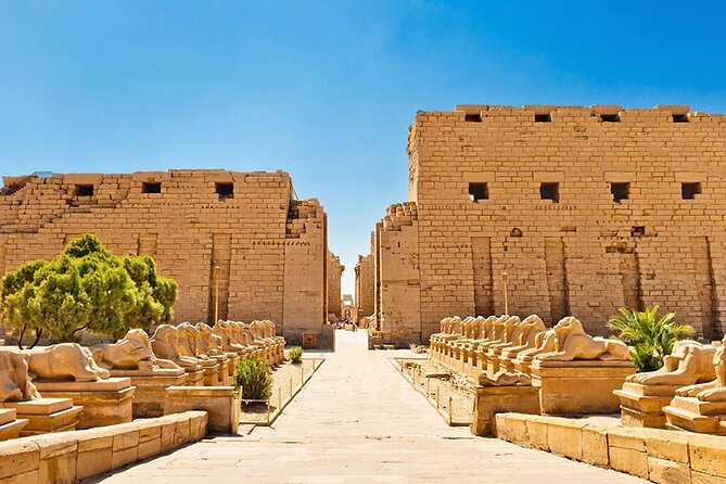 Luxor Full Day Tour-Valley of Kings& Queens, Hatchepsut and Mor - Meeting and Pickup Details