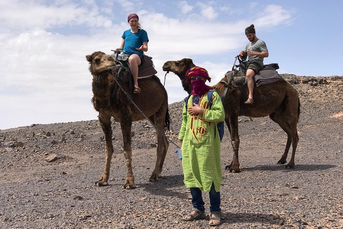 Luxury Private 4-Day Camel Trekking and Kasbah Trail From Marrakech - Meeting Point and Logistics