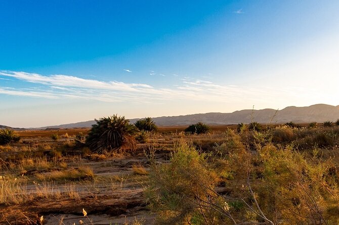 Luxury Sunset Safari to the Oasis & Starlit Dinner From Hurghada - Frequently Asked Questions