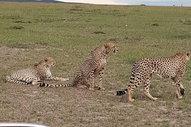 Maasai Mara Game Reserve - Meeting and Pickup Details