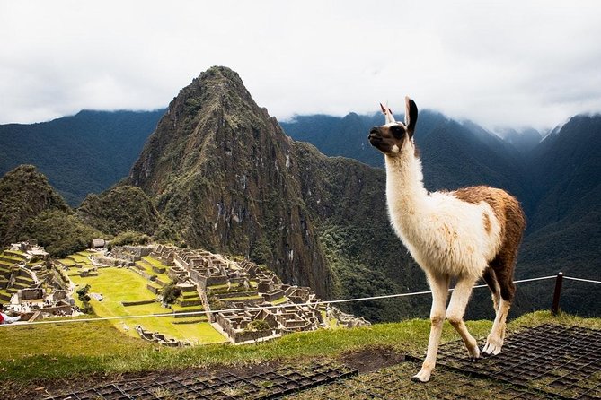 Machu Picchu Full-Day Tour With First Class Train Ride - Meeting and Pickup