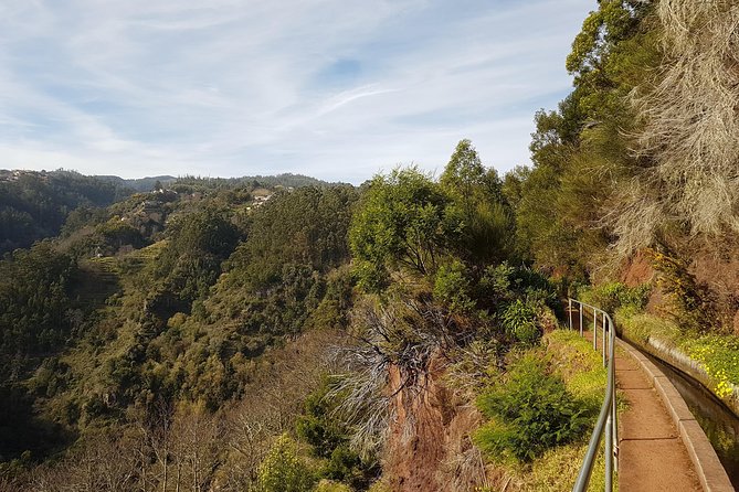 Madeira: Private Camacha Levada Do Tornos Walk - Participation Requirements