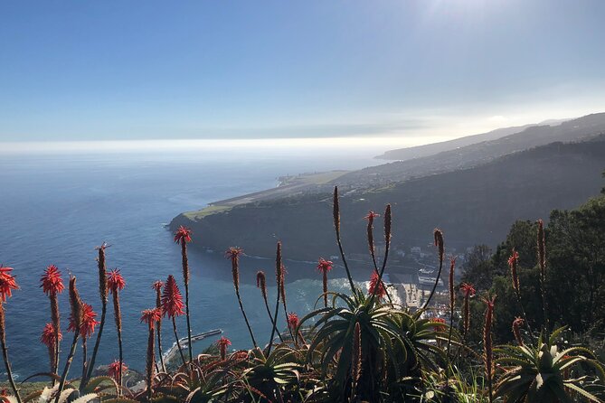 Madeira Safari - East of the Island - Start Time and Price