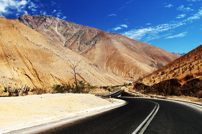 Magical Journey Through the High Elqui Valley - Transportation and Logistics