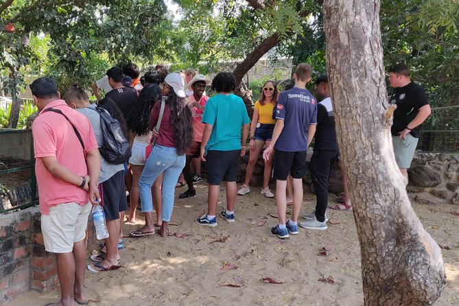 Mahabalipuram and Madras Crocodile Bank Trip From Chennai Wtih Lunch,Transport - Accessibility Details