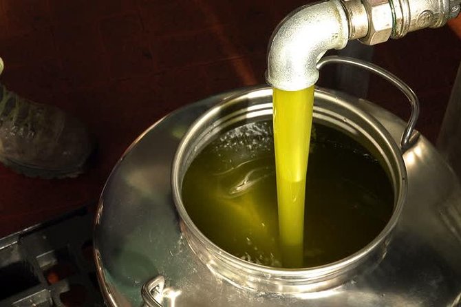 Make You Own Wildcrafted Extra Virgin Olive Oil! - Exploring the Olive Grove