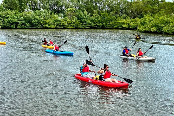 Mangrove Tunnel Kayak Eco Tour - Personalized Experience